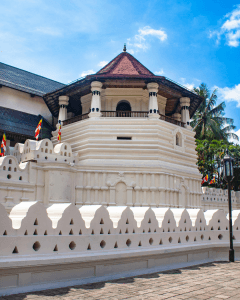 Sri Lanka Nature & Wildlife Escape – Sigiriya, Kandy & Bentota