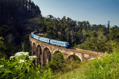 Sri Lanka Tour